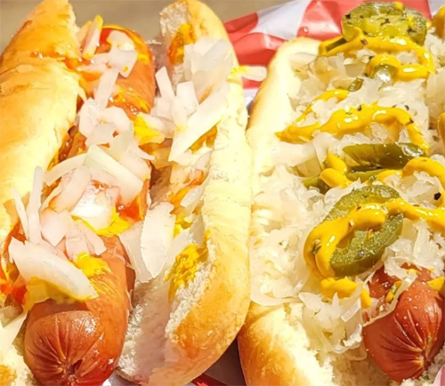 Welcome to Coastal Doggz